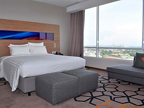Presidential King Suite