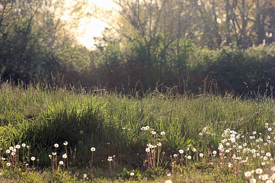 Chambres d'hôtes Mas Petit Prince