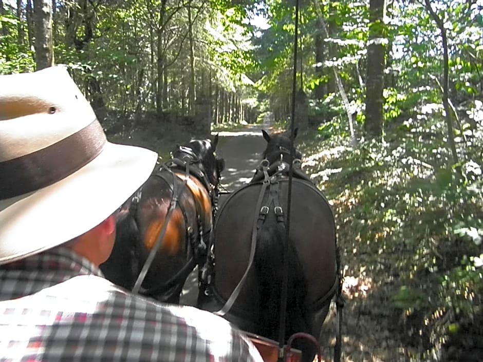 Les chambres du Manoir de Kerhel