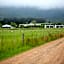 Raptor Rise Farm