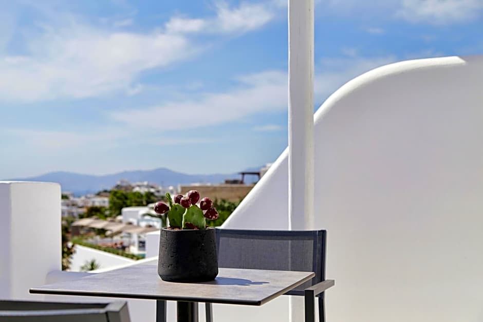 Livin Mykonos Hotel- Adults Only