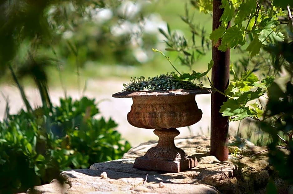 Ferme St Pierre gîte, pisc, repas, 2-3 personnes