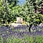 Clos des Lavandes - Chambres et Suites de charme climatisées-Luberon