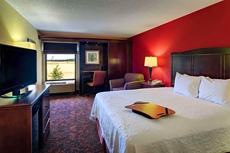 1 King Bed Nonsmoking