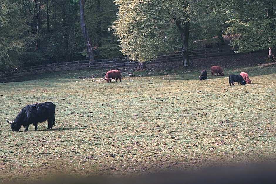 Merewood Country House Hotel and Restaurant