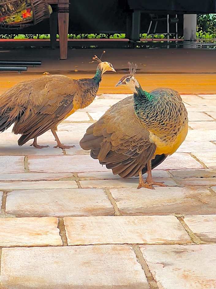 Dan Inn Uberaba & Convenções