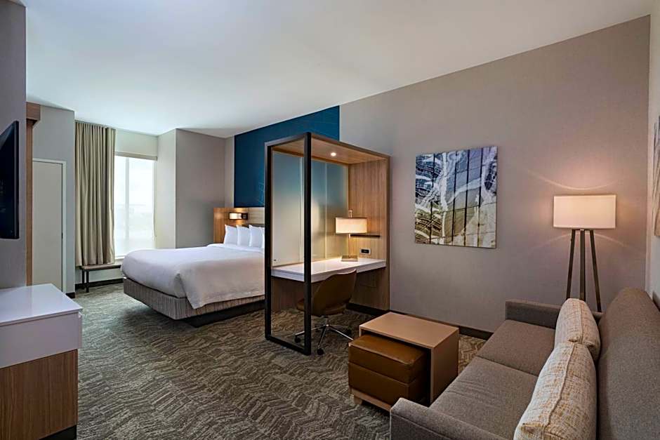 SpringHill Suites by Marriott Waco
