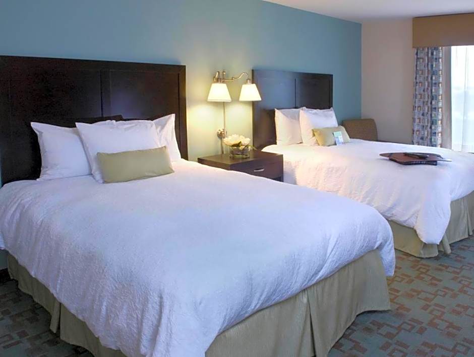 Hampton Inn By Hilton And Suites Savannah-Airport