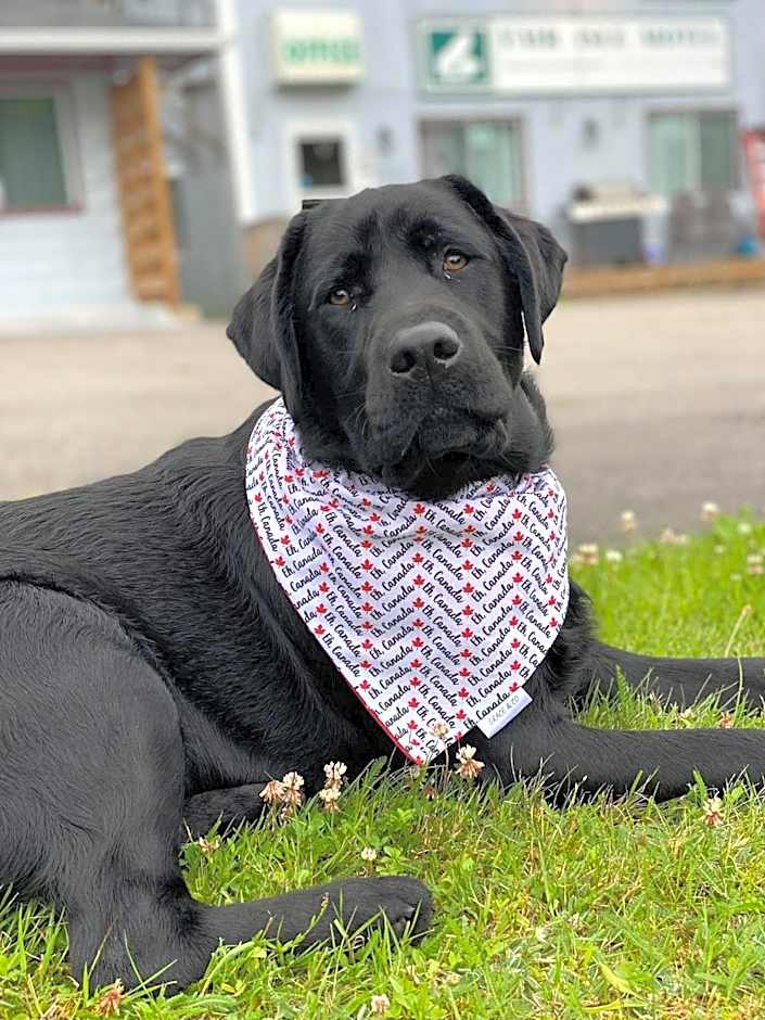 Fair Isle Motel & The Nest