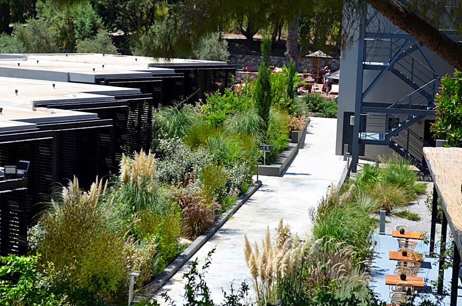 Cook's Club Ialysos Rhodes