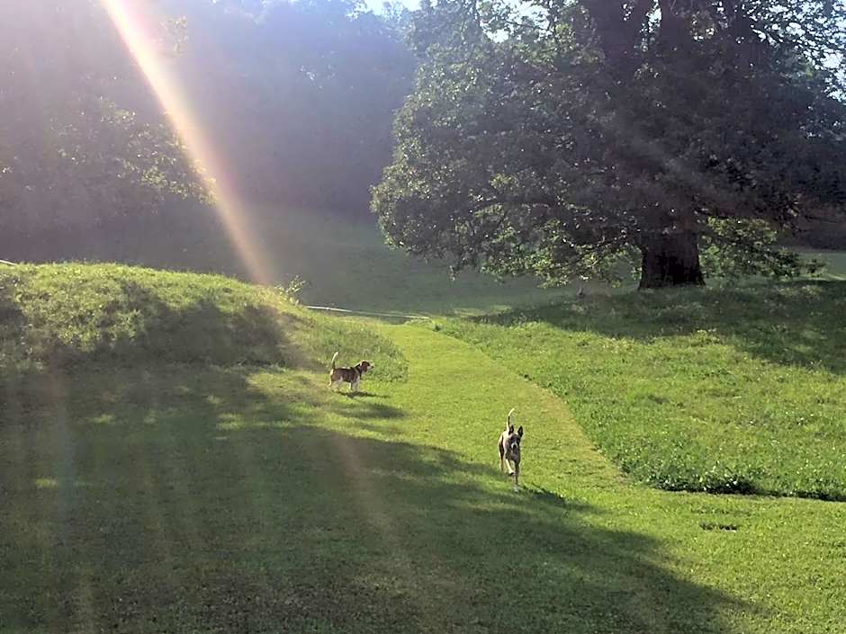 Hotel Villa Simplicitas