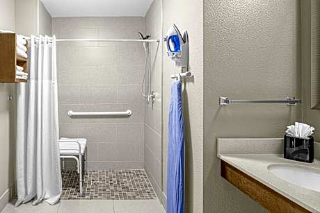 Queen Studio Suite - Mobility Access Roll in Shower/Non-Smoking