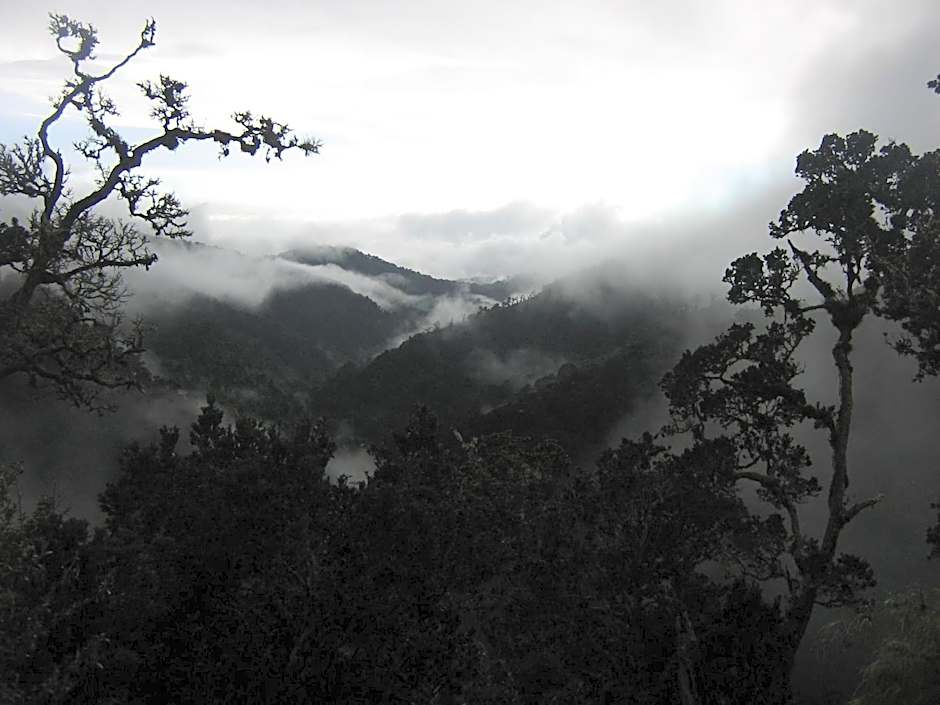 Dantica Cloud Forest Lodge