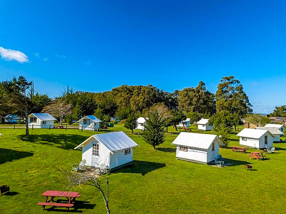 Costanoa