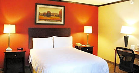 Comfort Room, 1 Queen Bed, Accessible