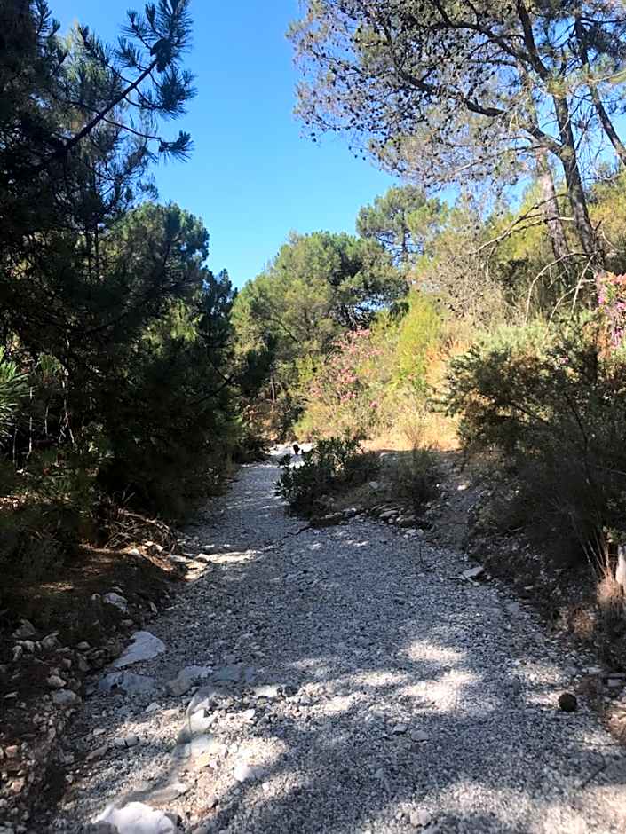 B&B the lost Village el Acebuchal