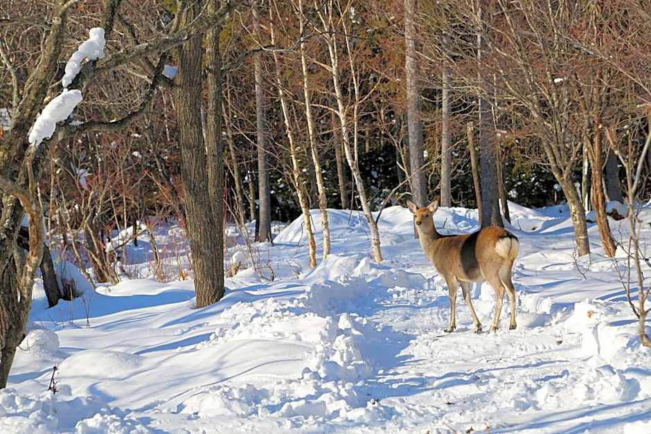 ARtINn 極寒藝術伝染装置