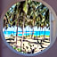 Turtle Bay Hotel