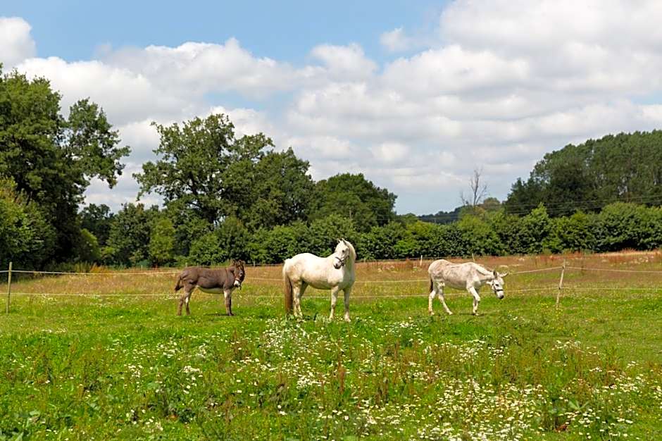 Manoir de la Nogrie - Chambre de charme avec accès privatif - Piscine chauffée sur domaine 5 étoiles