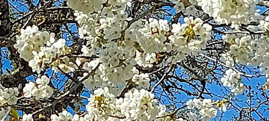 Villa Maëlla en Normandie- chambres tout confort - SPA