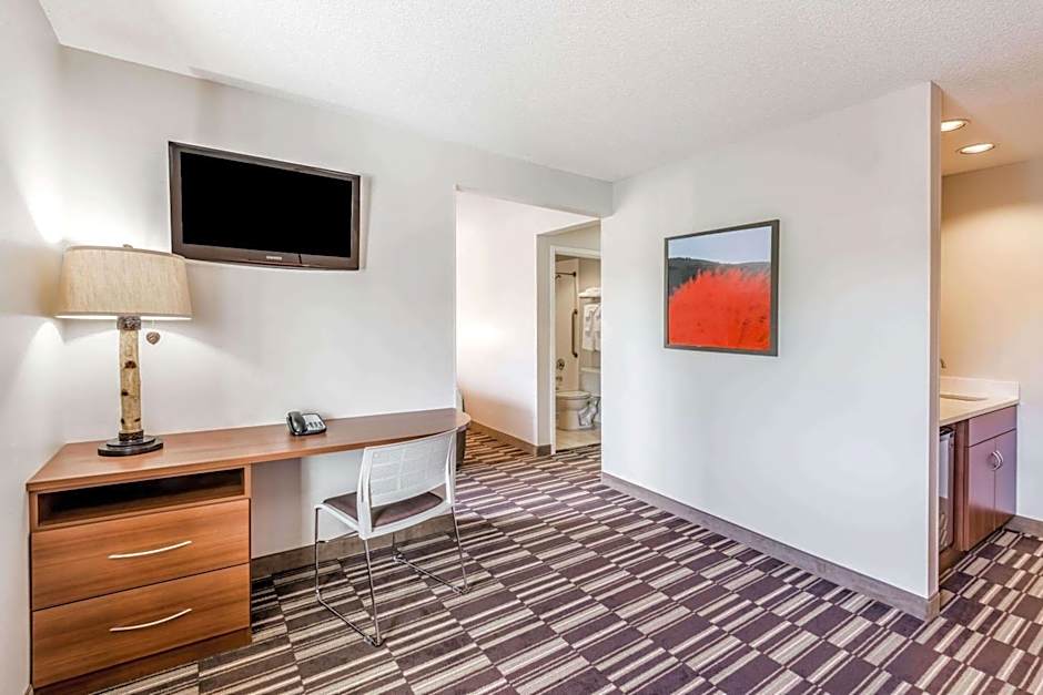 Microtel Inn & Suites by Wyndham Victor/Rochester