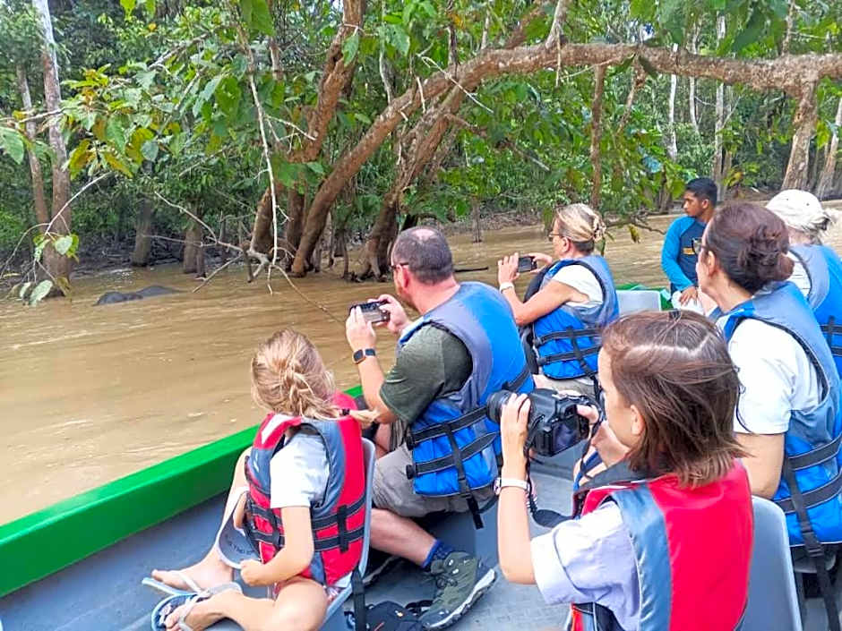 Borneo Jungle Adventure