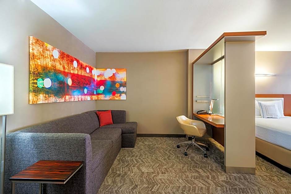 SpringHill Suites by Marriott Louisville Downtown