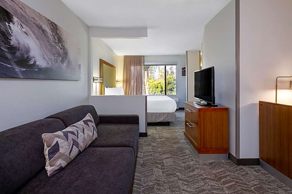 Photo 1 of 7 of Studio 1 King Bed with Sofabed