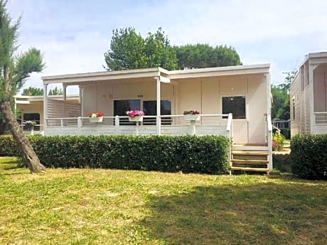 Lodge Deluxe Family Dog - Capacity 4 (pet allowed with extra fee)