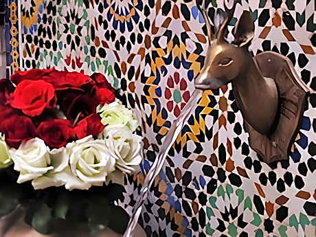 Riad L'Escale de Marrakech Guest House