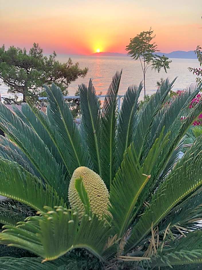 Zakros Hotel Lykia
