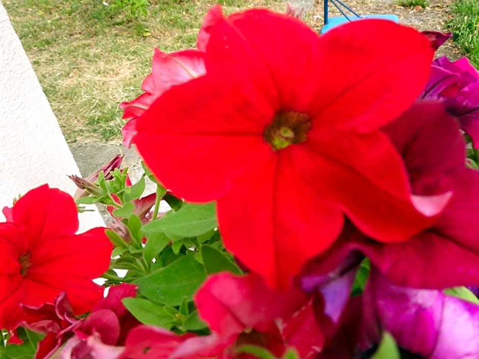 Domaine de Laverchère