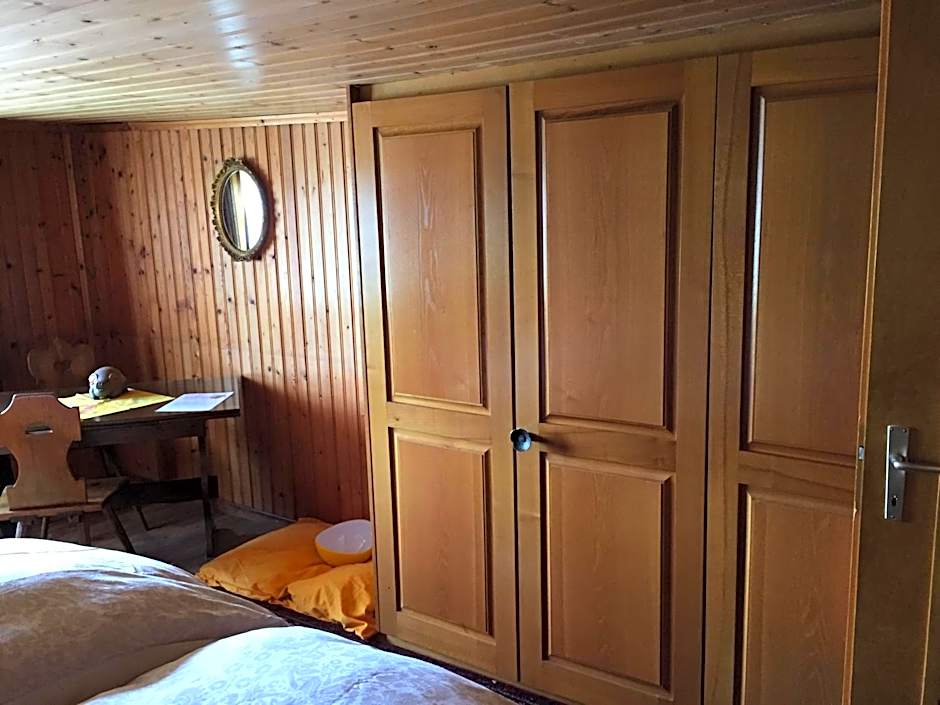 Wohlfühloase für Mensch und Hund