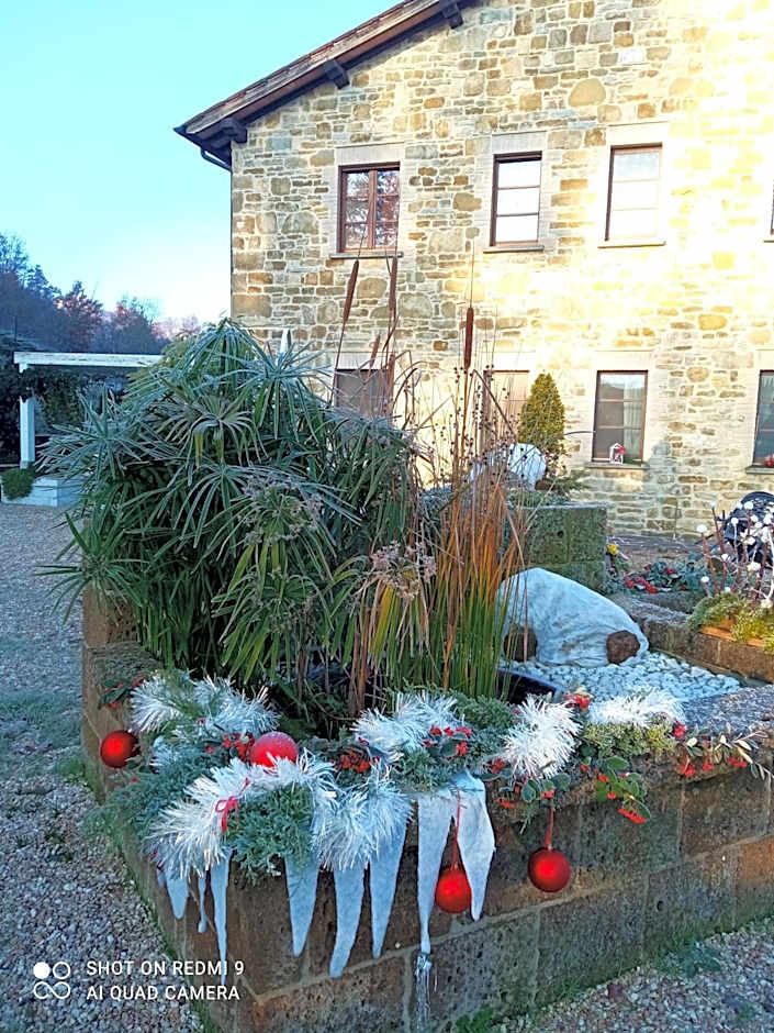 B&B Monticelli