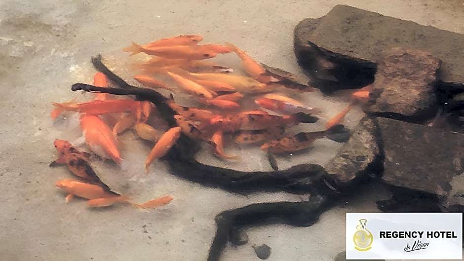 REGENCY HOTEL DE VIGAN