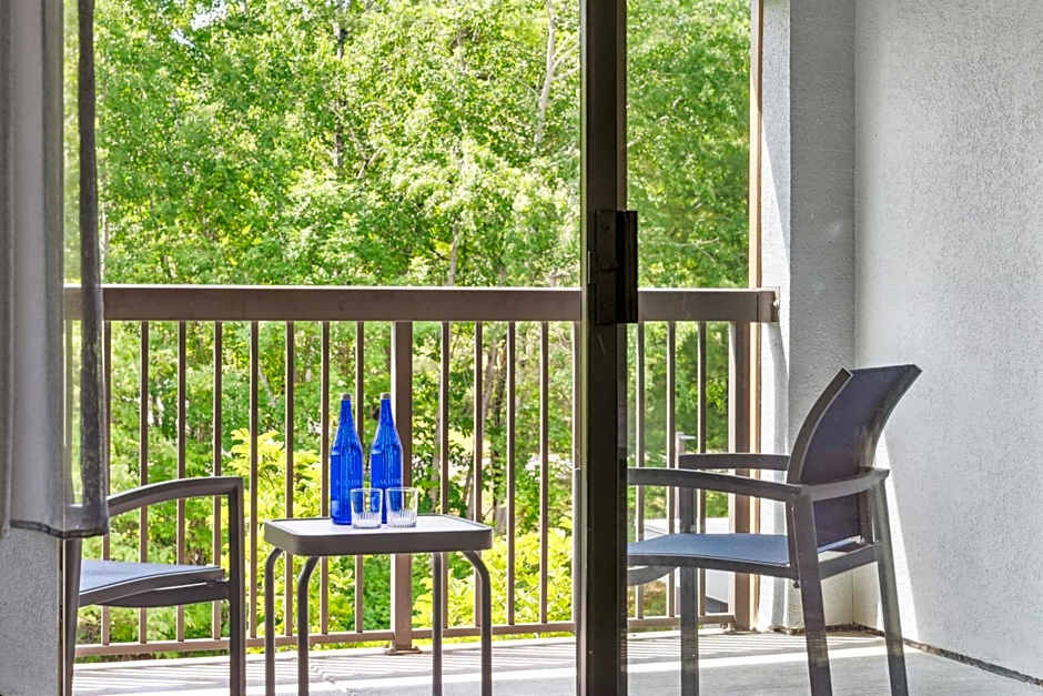 Courtyard by Marriott Burlington Williston