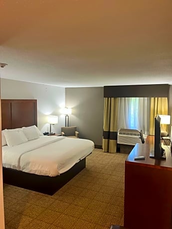 1 King Bed, Suite, Nonsmoking, Accessible