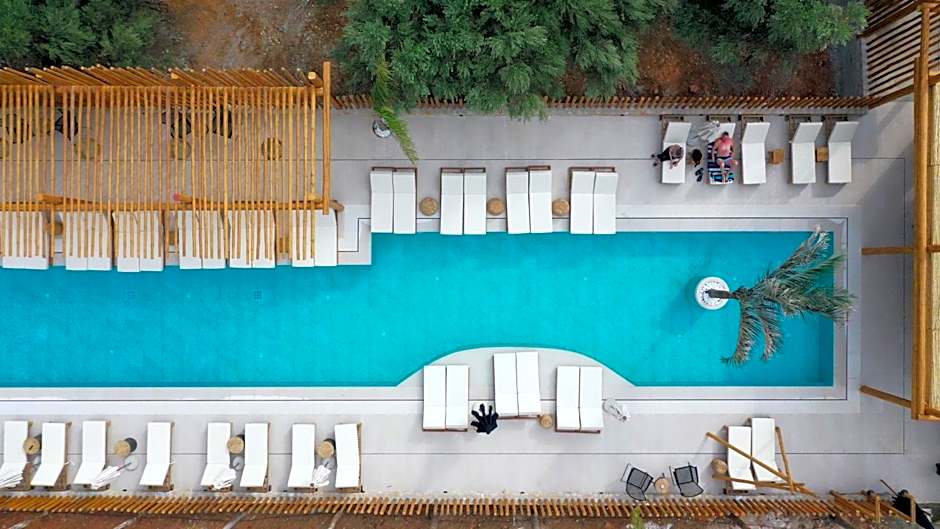 Indigo Inn Casa Adults Only