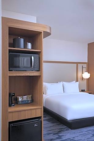 Executive king suite with Sofa Bed - Mobility and Hearing Accessible with Roll-in Shower