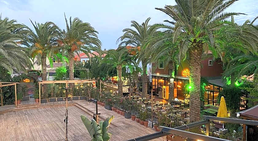 Alacatı Aura Plus