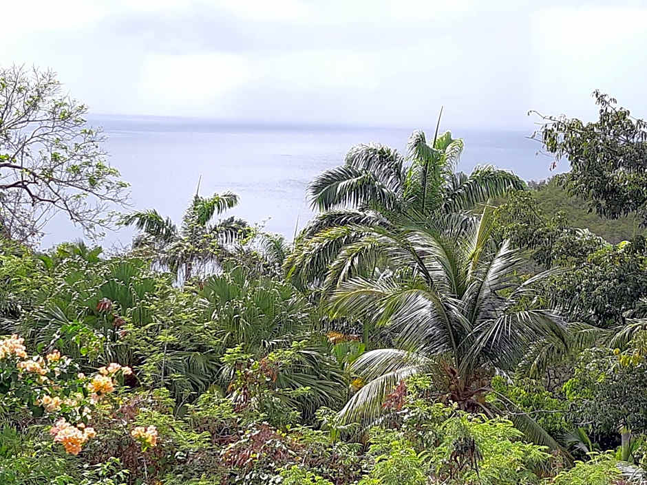 Domaine Choco Vanille