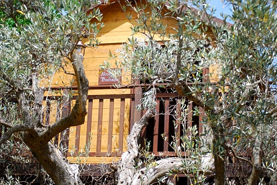 Palazzo Conforti Tree House Resort