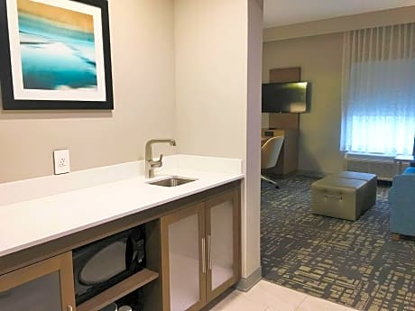 1 King Microwv/Fridge/Wet Bar Studio Suite Ns