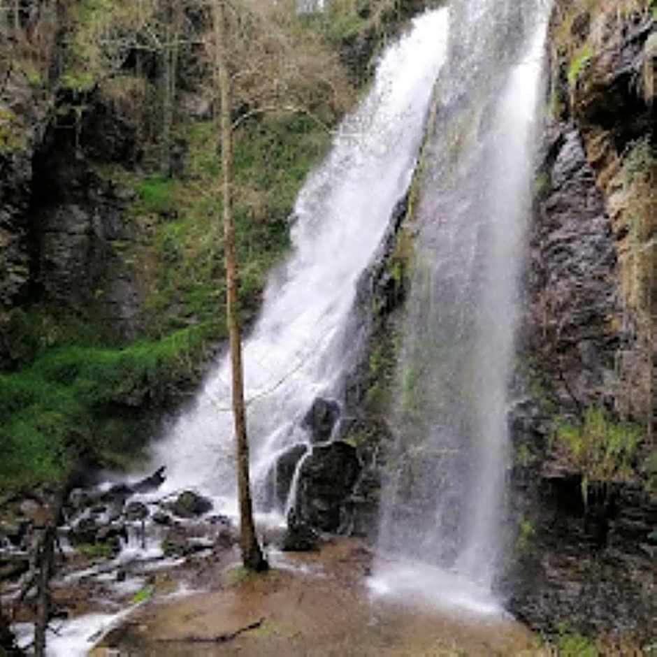 Lar da Mota Boutique Hotel