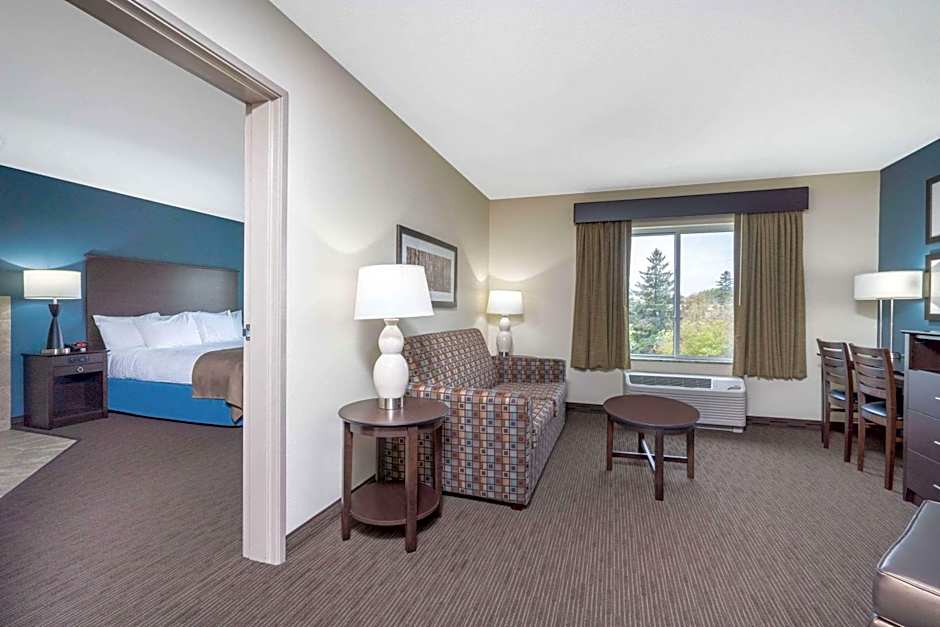 Photo 1 of 4 of Superior 1 Bedroom 1 King Bed with Sofabed Suite