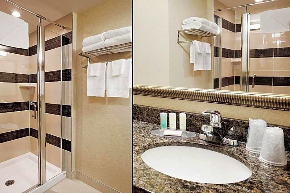 Comfort Suites Downtown