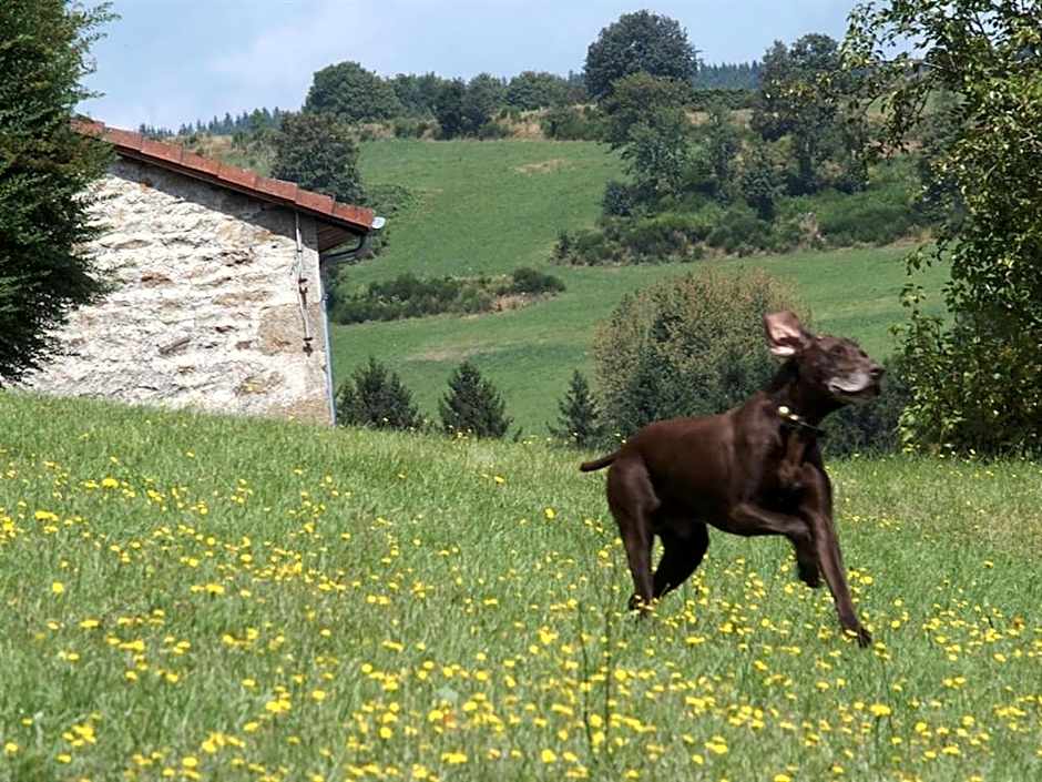 Château des Marcilly Talaru