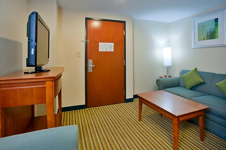 Holiday Inn Express Hotel & Suites Fredericksburg