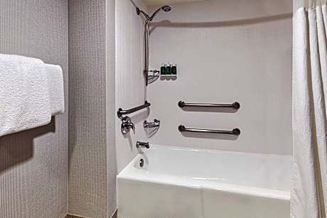 Room, 1 King Bed with Sofa bed (Mobility/Hearing Accessible, Tub) (1 King Bed and 1 Double Sofa Bed)