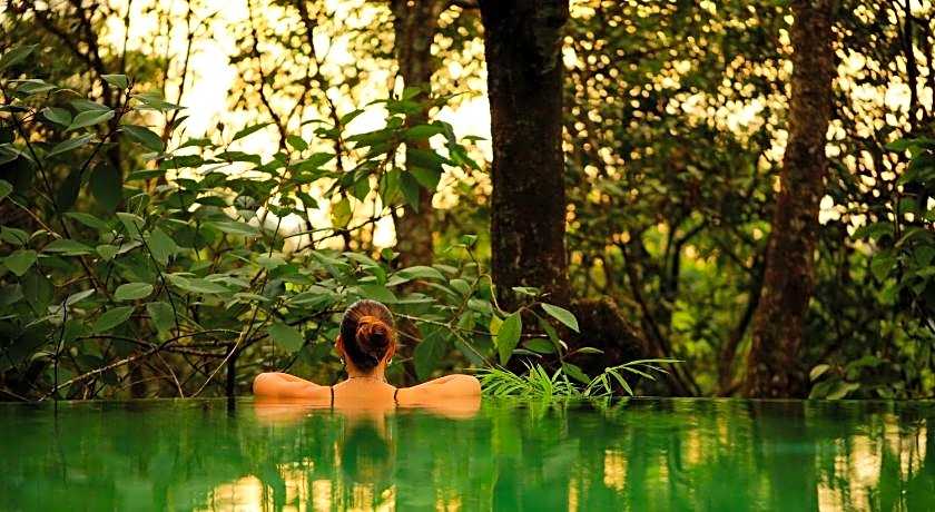 Wayanad Wild  Rainforest Lodge by CGH Earth